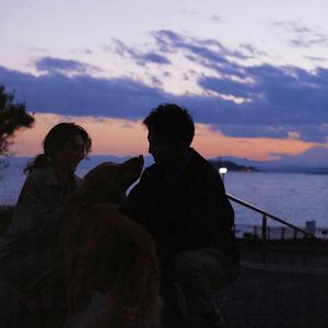 欧美男男GaYGAYS✅免费男和动物
